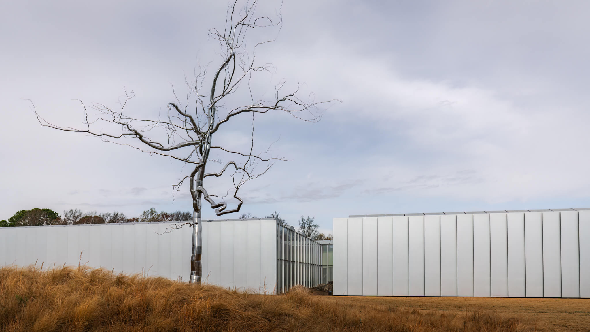 NC Museum of Art | Raleigh, NC | Architectural Photography